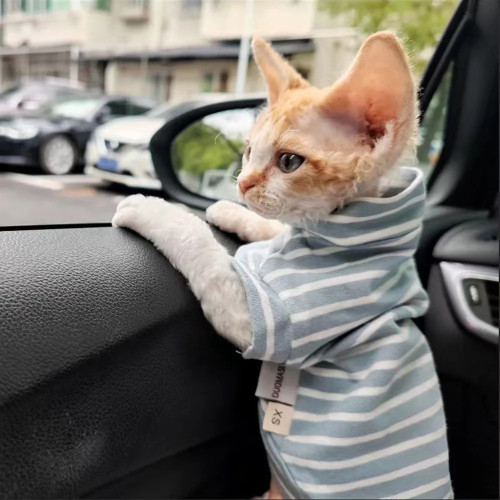 Мягкая футболка для питомца, одежда для кошек Sphynx на весну, теплый флисовый полосатый комбинезон для котят, собак, рубашка с коротким рукавом Devon Rex