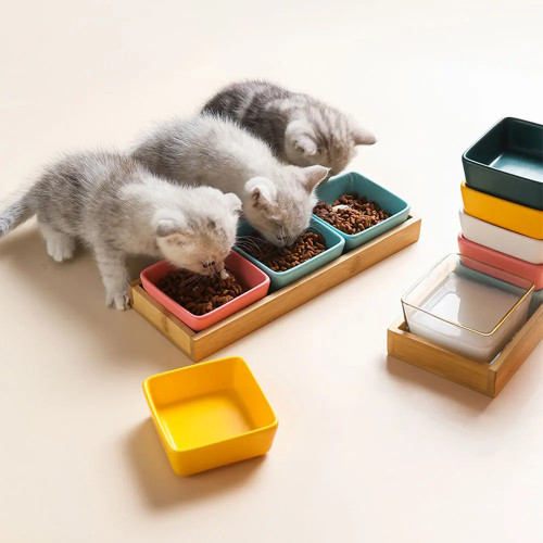 Кошка, щенок, Фотофон с деревянной подставкой и блюдцем, прочная маленькая кормушка для домашних животных, много цветов, аксессуары, поставки # p030