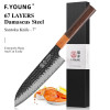 F.YOUNG 7"японский нож сантоку 67 слоев Дамасская сталь острый мясной Овощной Кливер ручной работы кухонные профессиональные шеф-ножи