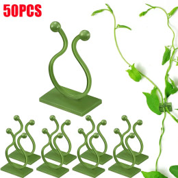 50 шт., настенный держатель для растений
